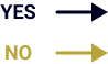 YES NO