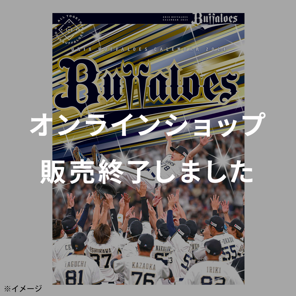 2冊セット オリックスバッファローズ 2024年(令和6年)度卓上カレンダー