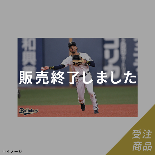 山岡泰輔選手 グッズ一覧 | 商品一覧 | オリックス・バファローズ公式