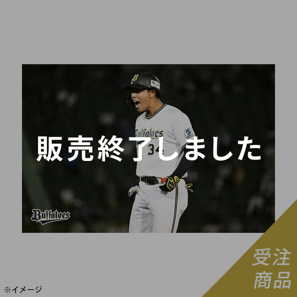 山岡泰輔選手 グッズ一覧 | 商品一覧 | オリックス・バファローズ公式オンラインショップ