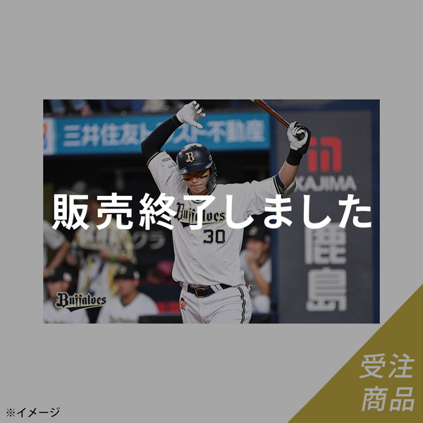 森友哉選手 グッズ一覧 | 商品一覧 | オリックス・バファローズ公式オンラインショップ