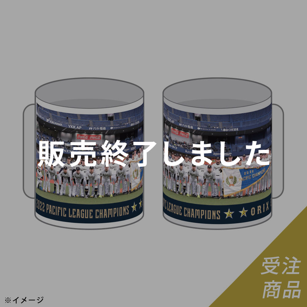 六角精二 銀魂 予約商品]AKB48 生誕記念マグカップ&生写真セット