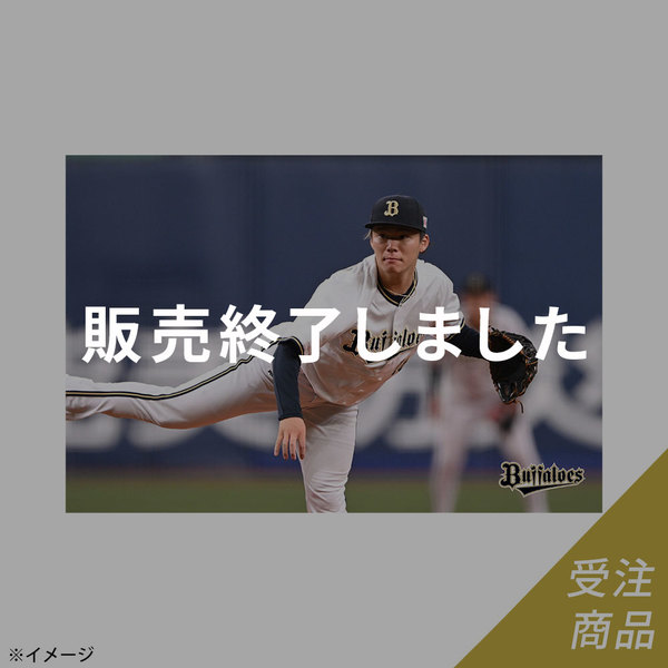 定番 山崎颯一郎投手 グッズ スポーツ選手 - education.semel.ucla.edu