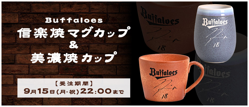オリックスバファローズ　プラクティス練習着　ウェア　実使用 オリックスバファローズ オーセンティック プラクティスウェア T